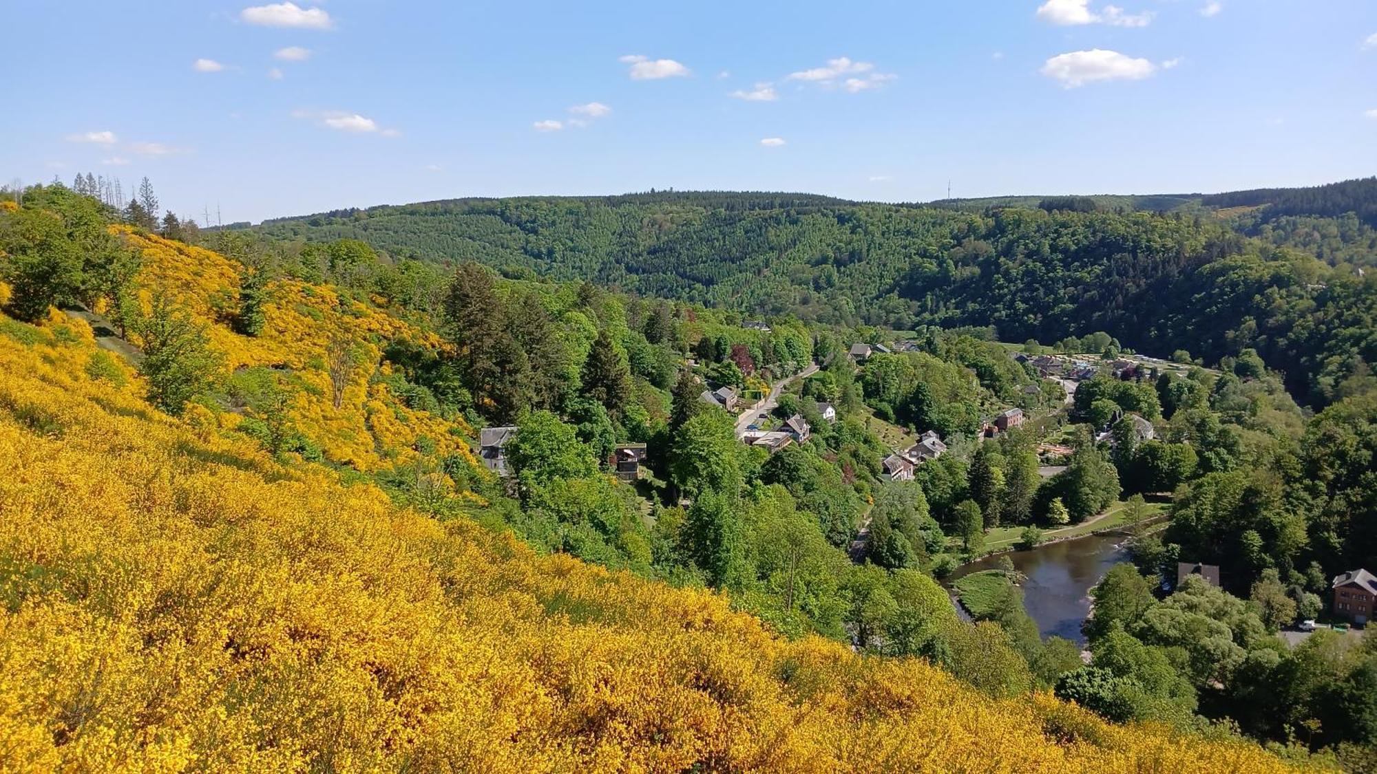 Ferienwohnung L'Abri La Roche-en-Ardenne Exterior foto
